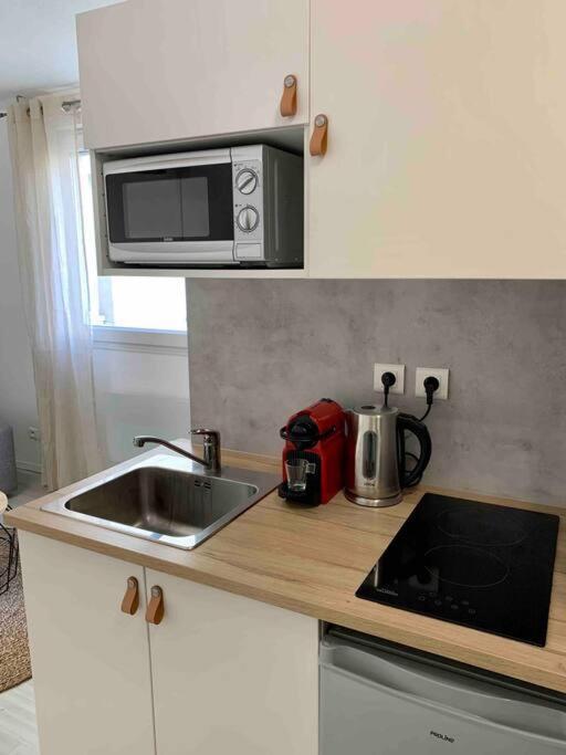 Studio Le Pensier - Monplaisir Lyon Extérieur photo